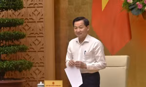 Không để bị động trong quản lý, điều hành giá