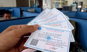 Các mức hưởng bảo hiểm y tế khi đi khám bệnh không đúng tuyến năm 2024