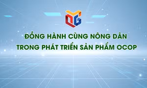 Đồng hành cùng nông dân trong phát triển sản phẩm OCOP