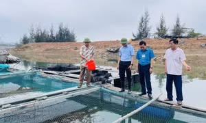 Đẩy nhanh quy hoạch vùng nuôi trồng thủy sản tập trung