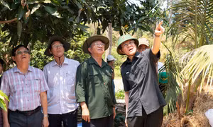 An Giang quyết tâm chữa cháy, bảo vệ rừng