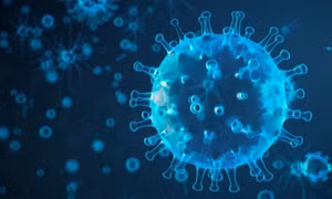 Những thực phẩm cần tránh để phòng cúm A (H5N1)