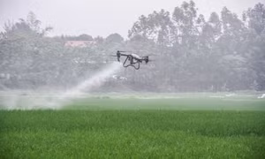 Nâng giá trị, sức cạnh tranh, hướng tới phát triển nông nghiệp bền vững