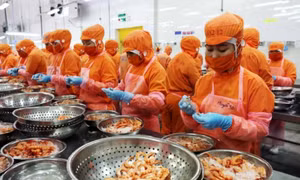 Mở cửa thị trường Hàn Quốc cho nông sản