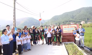 Thành Đoàn Hạ Long tình nguyện tại xã Sơn Dương