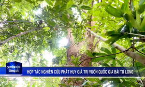 Hợp tác nghiên cứu phát huy giá trị VQG Bái Tử Long