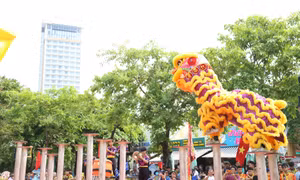 Lễ hội Rồng lần đầu tiên được tổ chức tại Quảng Ninh