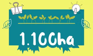 1.100ha - là diện tích cây trồng duy trì sản xuất theo quy trình sản xuất nông nghiệp tốt trên địa bàn tỉnh