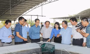 Đầm Hà: Rõ người, rõ việc trong kế hoạch phát triển kinh tế - xã hội