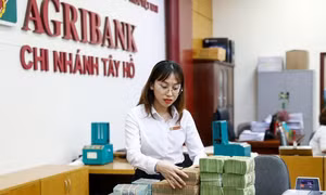 Tiền gửi của doanh nghiệp vào ngân hàng đạt kỷ lục