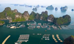 Du lịch nghỉ dưỡng cao cấp Vân Đồn: Sẵn sàng thăng hoa