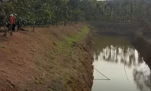 Đắk Nông: Rủ nhau đi tắm tại ao tưới càphê, hai em nhỏ 10 tuổi đuối nước