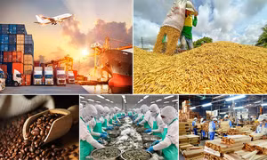 Bức tranh sáng nhất, xuất nhập khẩu năm 2024 dự báo đạt trên 790 tỷ USD