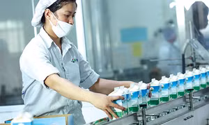 Phát triển ngành công nghiệp chế biến sữa Việt Nam theo hướng hiện đại