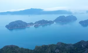 Đánh thức Bái Tử Long