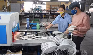 Việt Nam đang xếp thứ 2 thế giới về xuất khẩu giày dép