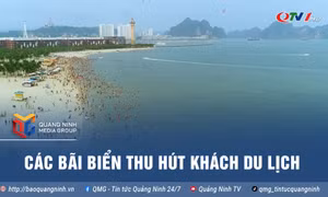 Các bãi biển thu hút khách du lịch