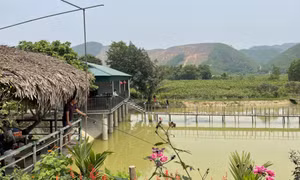 Du lịch nông nghiệp - hướng đi mới cho người dân nông thôn
