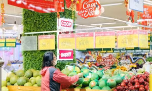Kênh phân phối Việt “tiếp sức” cho nông sản Việt