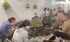 Hướng tới nền nông nghiệp sạch, phát triển bền vững