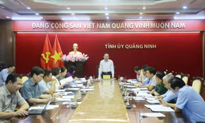 Ban Thường vụ Tỉnh ủy cho ý kiến về công tác rà soát, bổ sung quy hoạch cán bộ