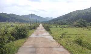 Đang triển khai các phương án bồi thường GPMB Dự án Hồ chứa nước Đồng Dọng