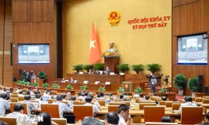 Quốc hội khóa XV: Khắc phục những bất cập trong quản lý an toàn thực phẩm