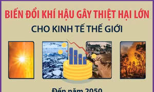 Biến đổi khí hậu "bào mòn" hàng chục nghìn tỷ USD của kinh tế thế giới mỗi năm