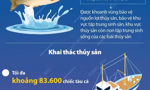 Đưa Việt Nam trở thành quốc gia có nghề cá phát triển bền vững vào năm 2050
