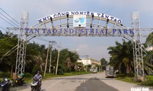 Nợ thuế cả trăm tỉ đồng, Tân Tạo, ThuDuc House... bị dừng làm thủ tục hải quan