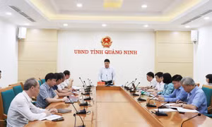 Nghe báo cáo dự thảo quy định cho vay ưu đãi nguồn vốn các chương trình mục tiêu quốc gia