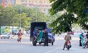 Hạ Long: Bắt chó thả rông để phòng, chống bệnh dại