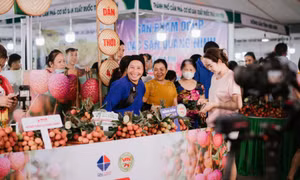 Bản tin Quảng Ninh ngày 29/5/2024