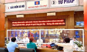 Trung tâm Hành chính công TP Cẩm Phả