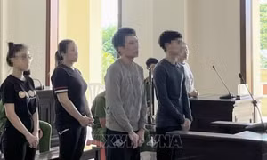 Cần Thơ: Nhóm bị cáo mua bán các cô gái làm phục vụ karaoke bị phạt 62 năm tù