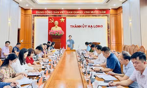 TP Hạ Long: Triển khai xây dựng văn kiện Đại hội đại biểu Đảng bộ thành phố lần thứ XXVI
