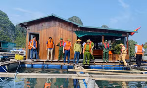 TP Cẩm Phả quy hoạch và dành hơn 1.400ha thu hút đầu tư vào nuôi biển