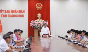 Tháo gỡ những điểm nghẽn trong triển khai Bộ chỉ số 766 của Chính phủ