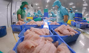 Quy mô xuất khẩu tăng: Nhiều mặt hàng nguy cơ bị áp thuế phòng vệ thương mại