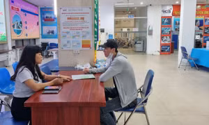 Hơn 26.000 chỉ tiêu tuyển dụng tại Phiên giao dịch việc làm trực tuyến 12 tỉnh thành phía Bắc 