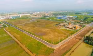 Luật Đất đai 2024: Rút ngắn thời gian thực hiện thủ tục hành chính về đất đai
