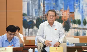 Đề nghị tăng cường giám sát, xử lý đầu cơ, thao túng thị trường vàng