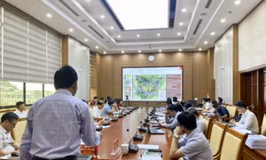 TP Hạ Long: Quy hoạch lại Khu bảo tồn văn hóa người Dao Thanh Y 