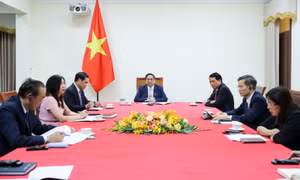 Thúc đẩy chuyến thăm cấp Nhà nước tới Việt Nam của Nhà Vua và Hoàng hậu Hà Lan