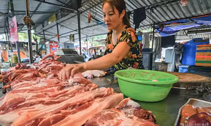 Giá thịt lợn lập đỉnh, ‘đại gia’ chăn nuôi lãi khủng