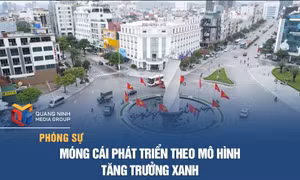 Móng Cái phát triển theo mô hình tăng trưởng xanh