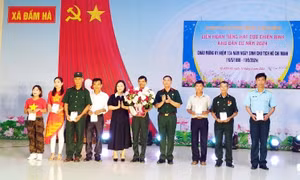 Phong trào thi đua CCB gương mẫu ở xã Đầm Hà