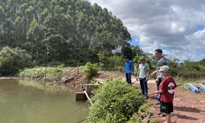 Ấn tượng Khu du lịch trải nghiệm tại trang trại Family Ecozone