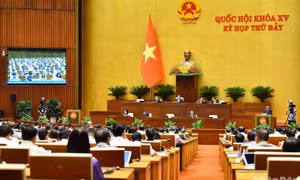 Đề xuất xem xét lại quy định cấm người trong gia đình tham gia đấu giá cùng một tài sản
