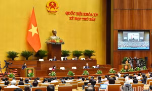 Trình Quốc hội hai phương án về ghi âm, ghi hình tại phiên tòa